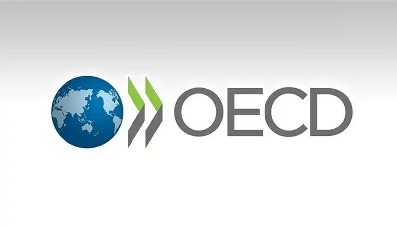 OECD'den Türkiye İçin Çarpıcı Büyüme Tahmini Açıklaması