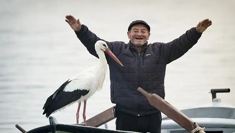 Doğa Fotoğrafçısı Alper Tüydeş'ten Yaren Leylek Açıklaması: Geldi mi Geldi mi?