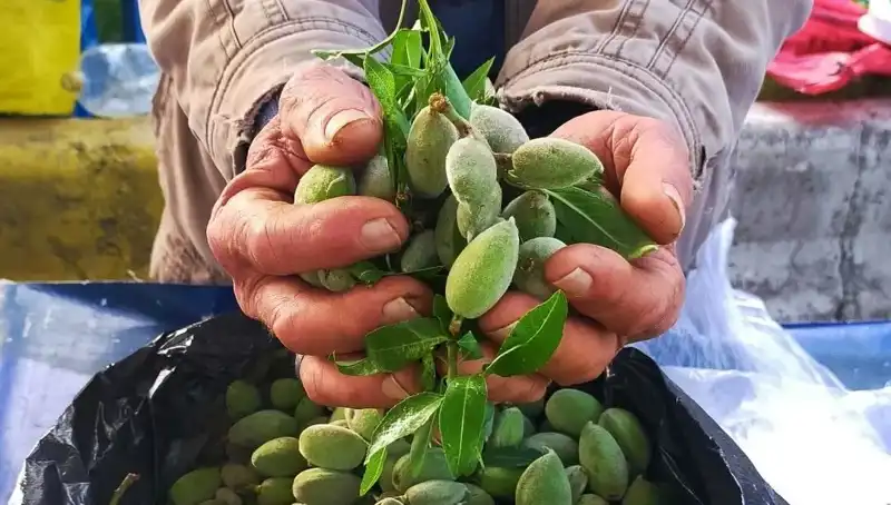 Baharın Gelmesiyle Tezgahlardaki Dikkat Çekici Fiyat Artışı