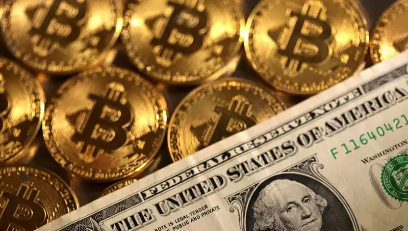 Kripto Fonları Piyasa Çöküşüyle 4,75 Milyar Dolar Zarar Etti