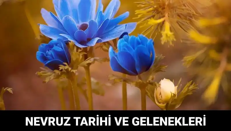Nevruz Bayramı: Tarihçesi, Kutlama Gelenekleri ve Anlamı