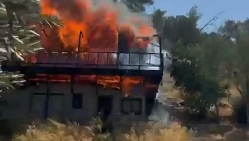 Bodrum'da Yangın Alarmı: Ekipler Seferber Oldu, Korku Dolu Anlar Yaşandı