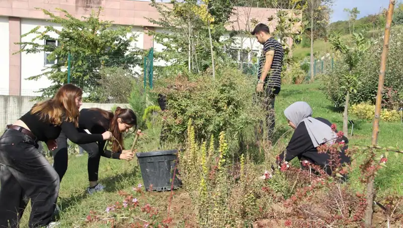 Düzce’nin Vizyoner Projesi: Hayalden Gerçeğe Dönüşen Yenilikçi Bir Başarı Hikayesi