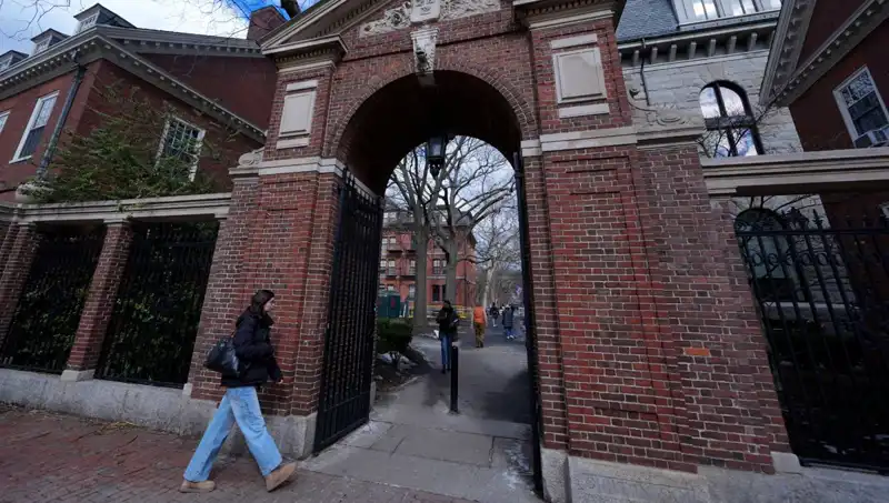 Harvard Profesörleri, Trump Yönetimine Açtıkları Davada Tartışmalara Yol Açtı