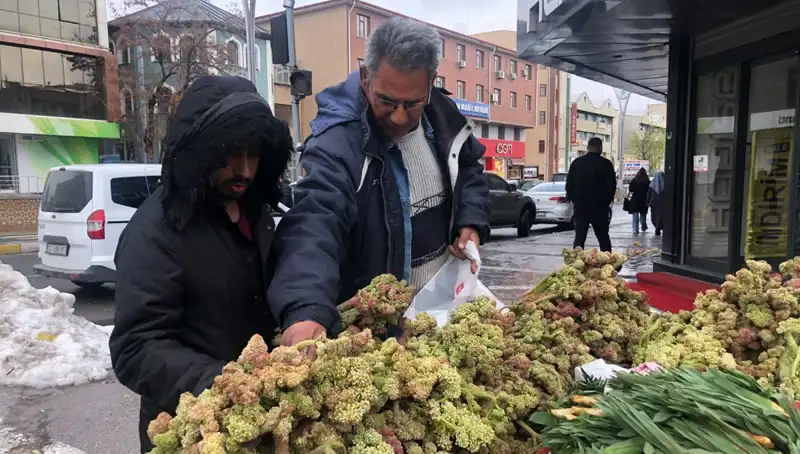 **Kanserle Mücadelede Doğanın Mucizesi: Kendiliğinden Yetişen Vitamin Deposunu Tanıyın**