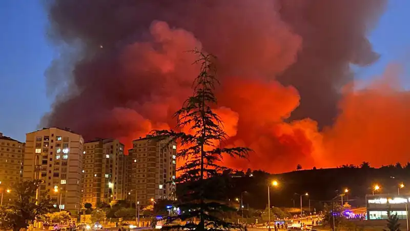 Bursa’daki Yangınlar Şehrin Renklerini Kararttı: Son Durum Nedir?