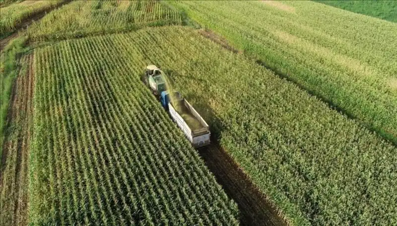 2025’in Mart ayında Mazot ve Gübre Desteği Ödemeleri: Ne Zaman Yatacak?