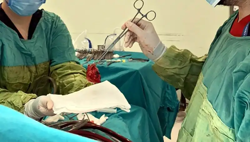 Kalp Kapağındaki Çürümeye Karşı 7 Saat Süren Zorlu Ameliyatın Ardındaki Hikaye