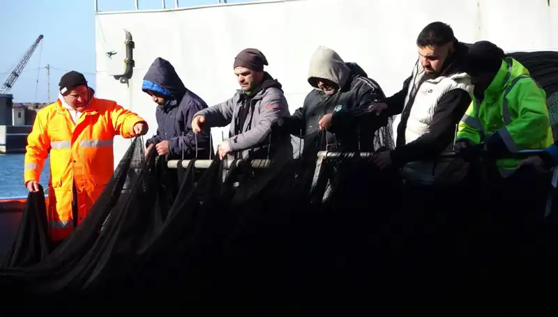 Denizlerde Hamsi Krizi: Balıkçılar Erken Sezon Bitirdi mi?