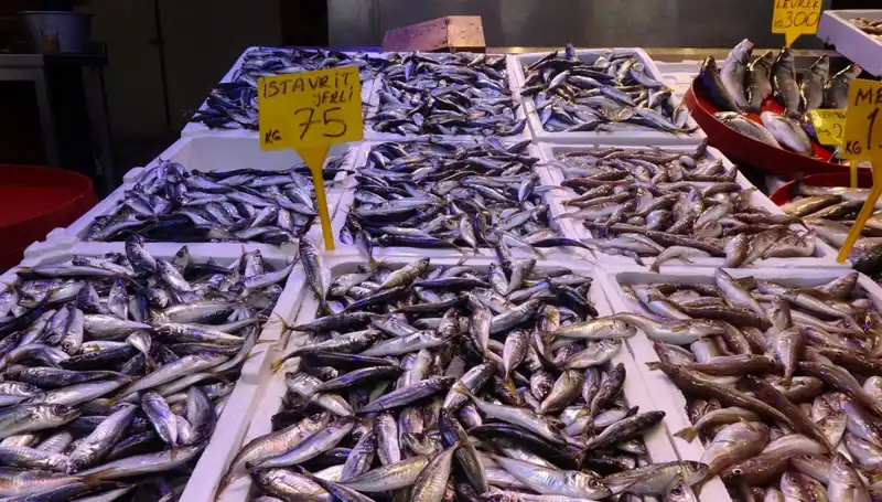 Balık Sezonu Sonunda Kapanıyor: Avuçlarımızda Son Lezzetlerin Zamanı Geldi
