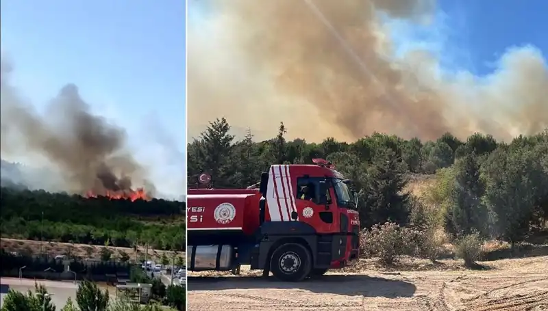 Gebze'de Yangın Alarmı: Orman Alev Alev!